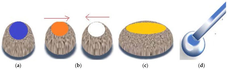 Figure 21