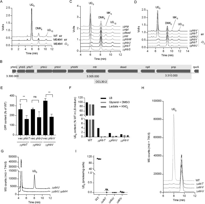 FIG 2