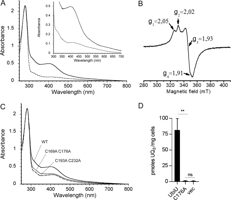 FIG 6