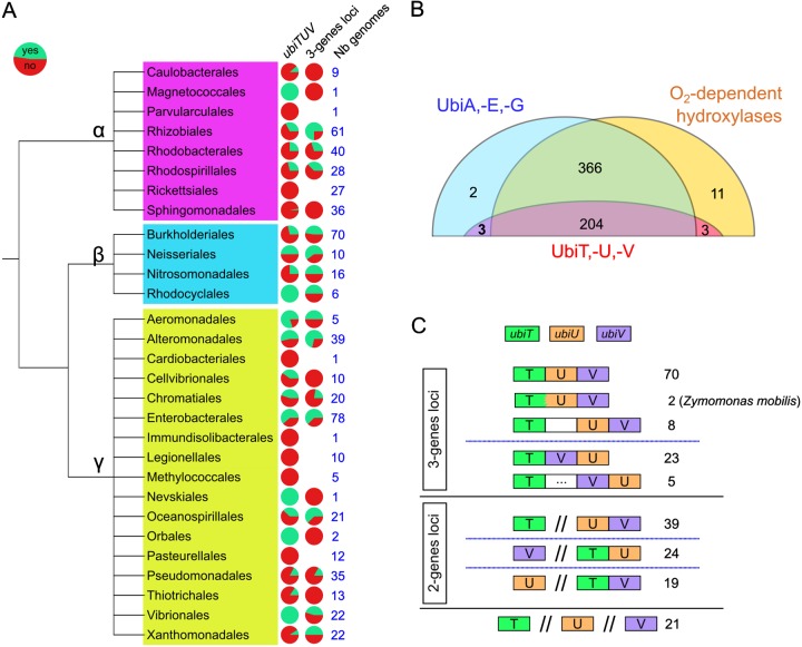 FIG 3