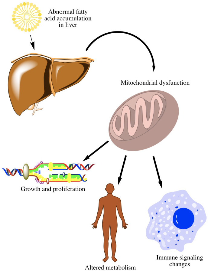 FIG 1