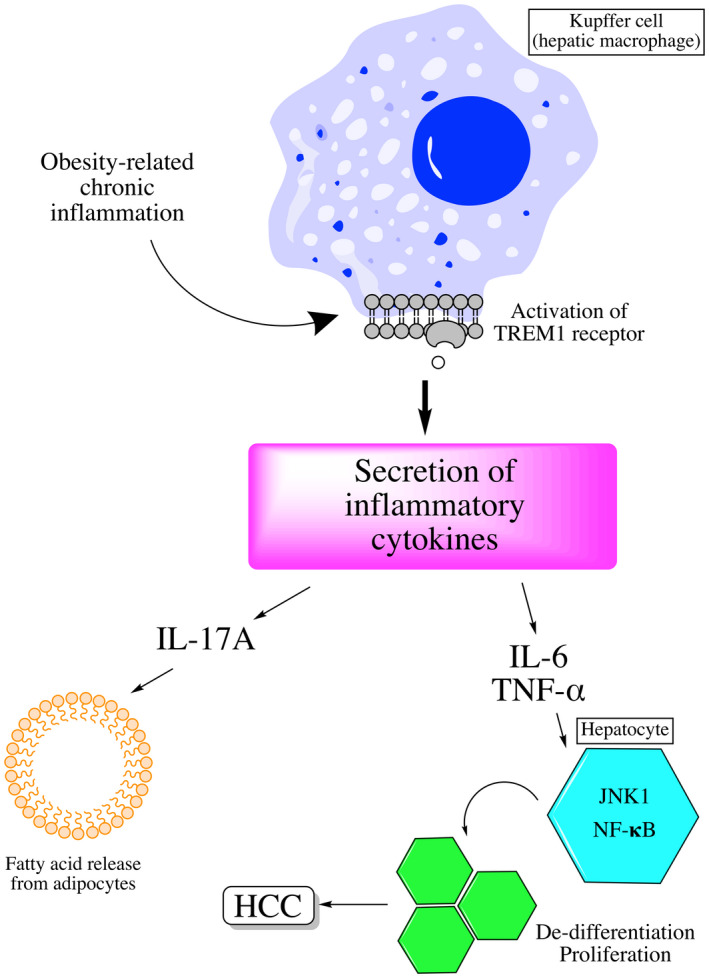 FIG 3