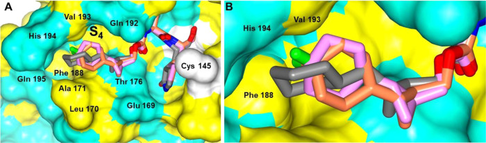 Figure 10