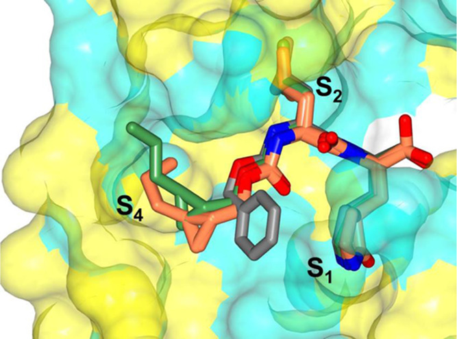 Figure 12