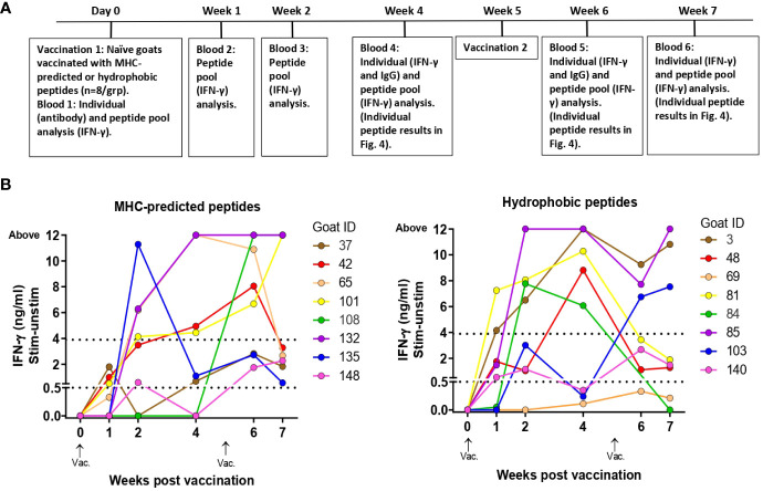 Figure 3