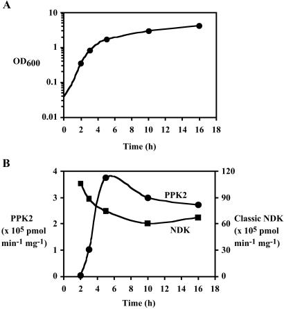 Fig 1.