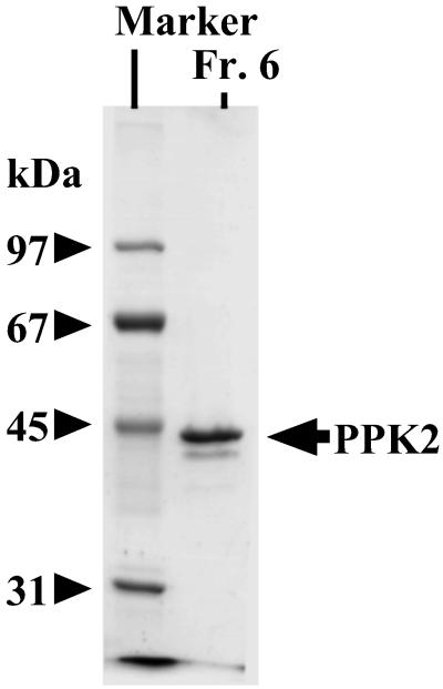 Fig 3.