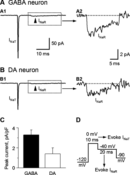 Fig. 10.