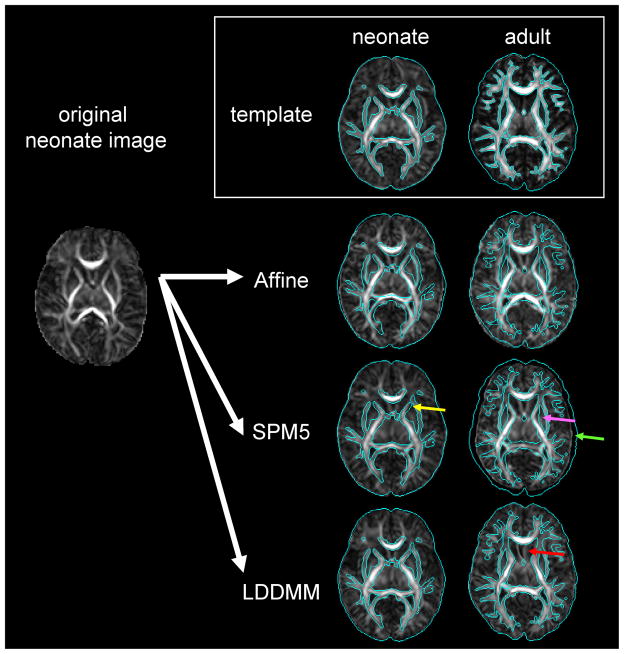 Fig. 7