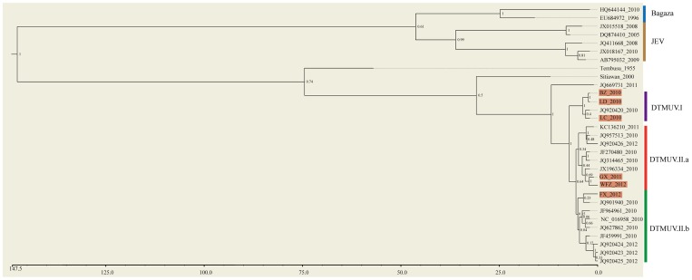 Figure 5