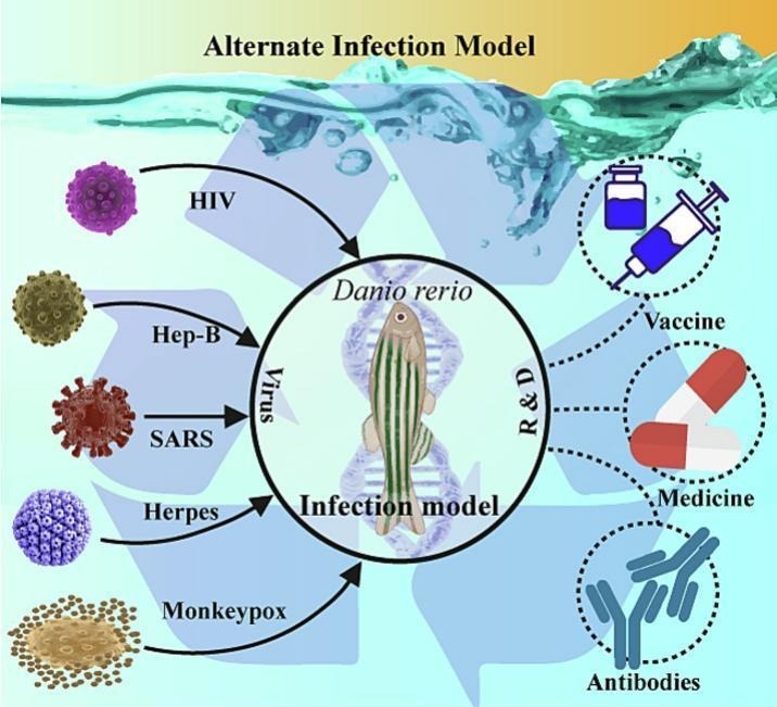 Unlabelled Image