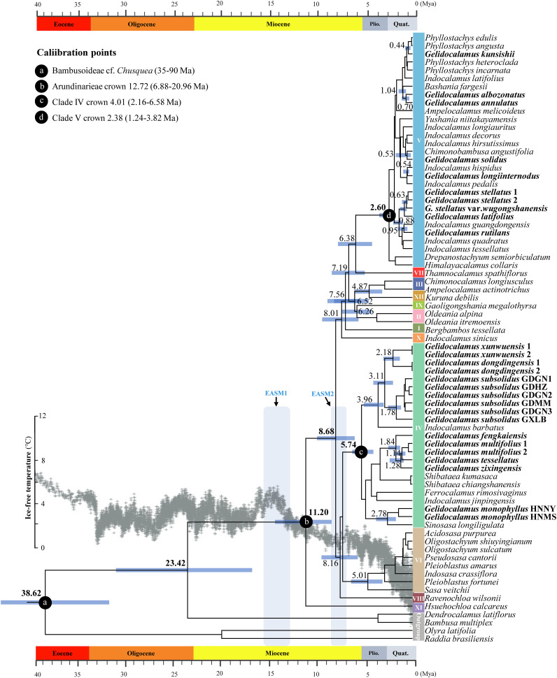 Figure 3