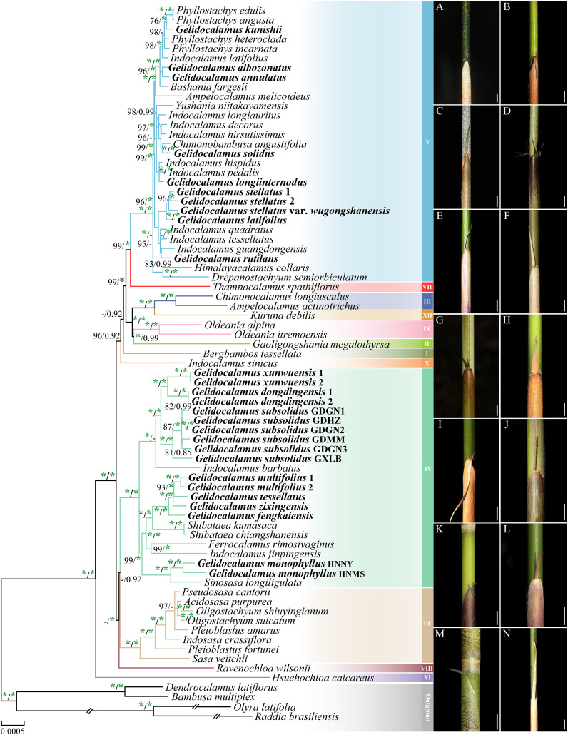 Figure 2