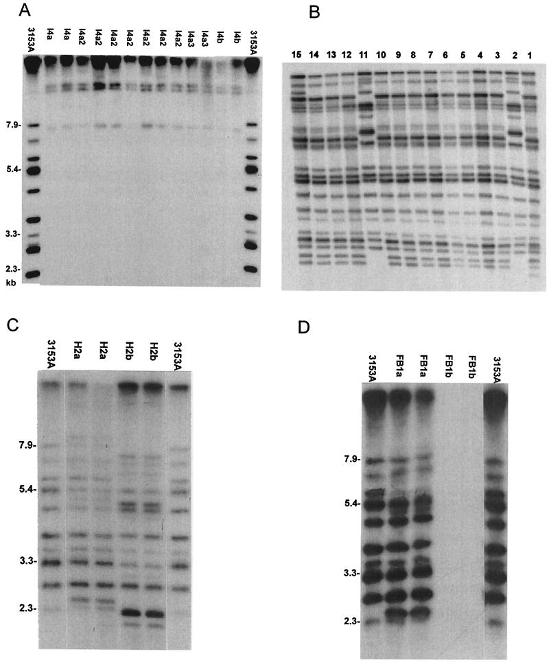 FIG. 4.