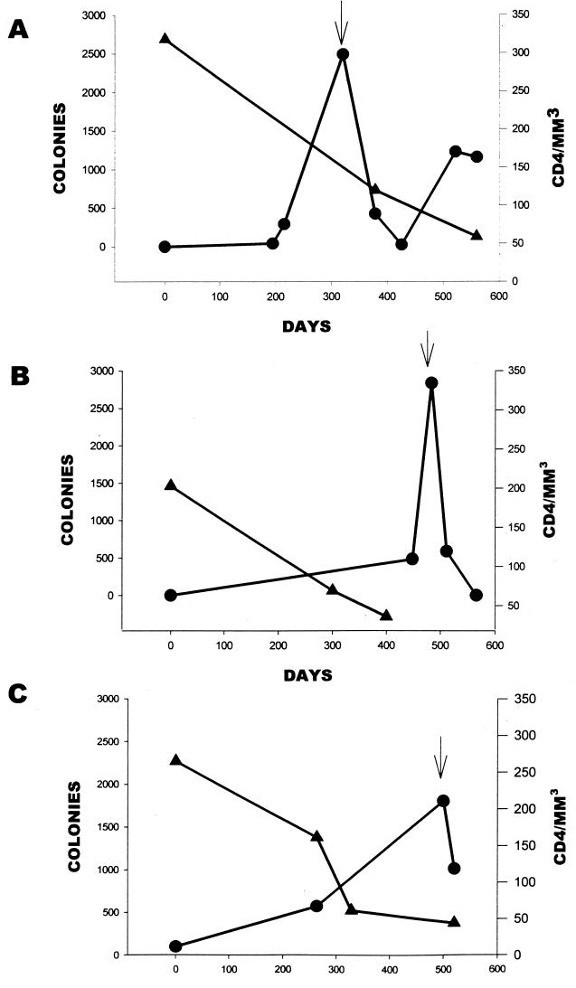 FIG. 2.