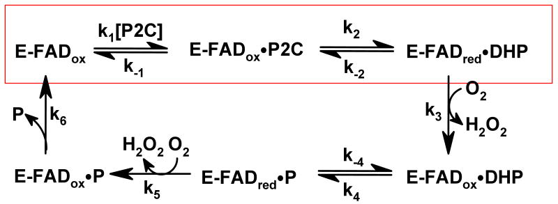 Scheme 3