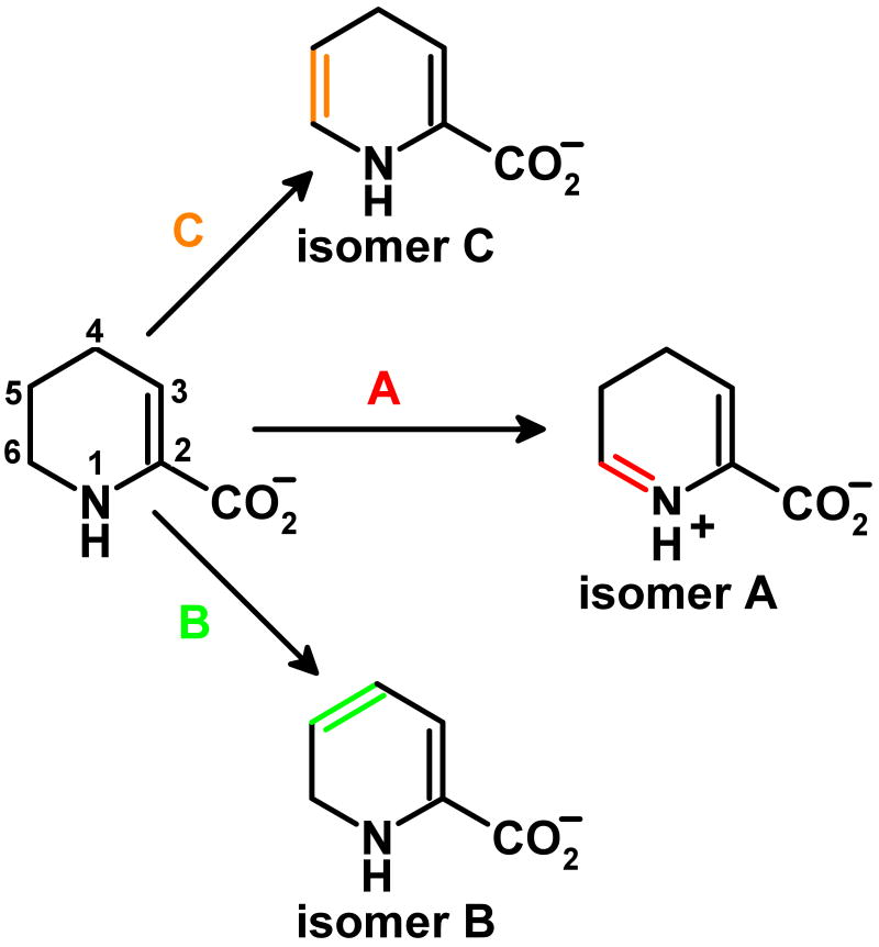 Scheme 2