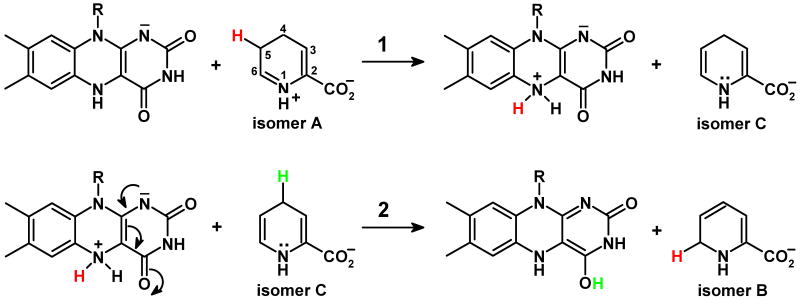 Scheme 5