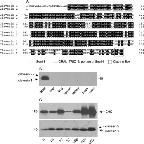 FIGURE 1.