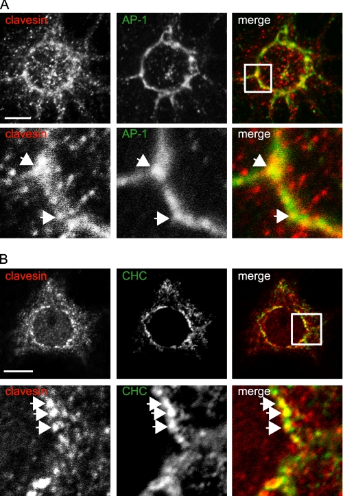 FIGURE 3.