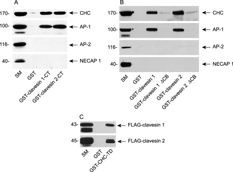 FIGURE 5.