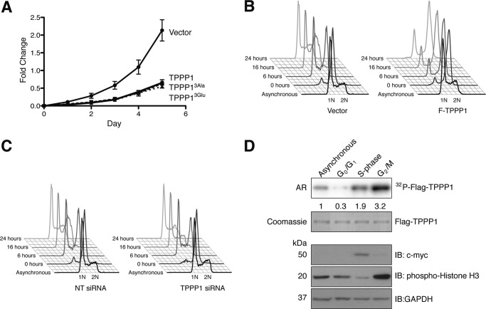 FIGURE 3.