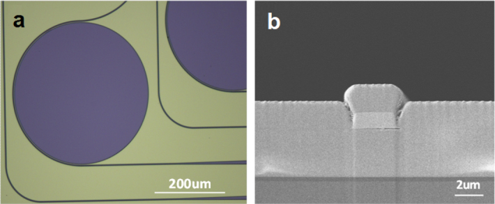 Figure 6.