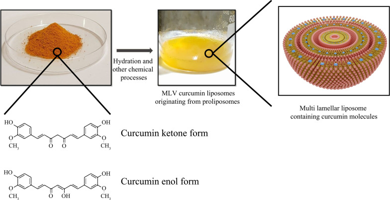 Fig. 10