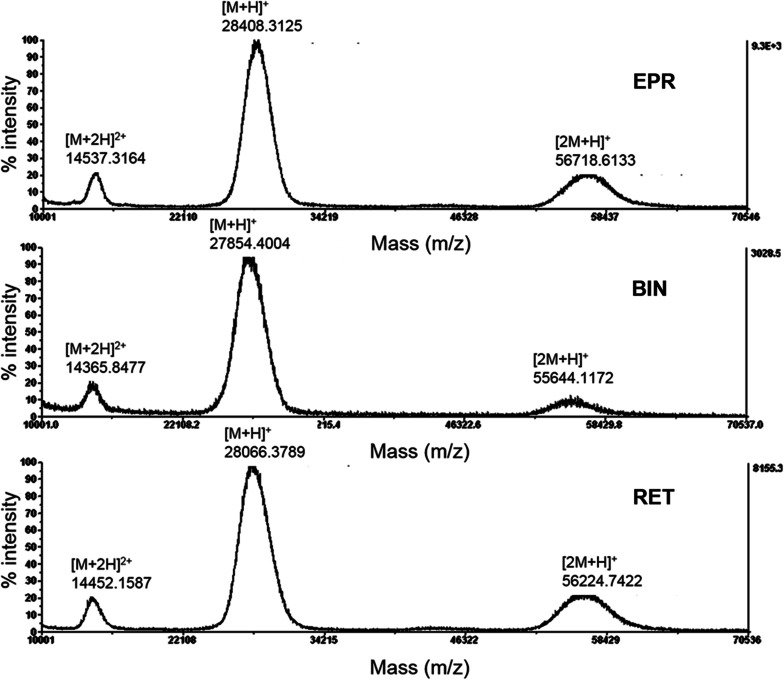 Fig. 2