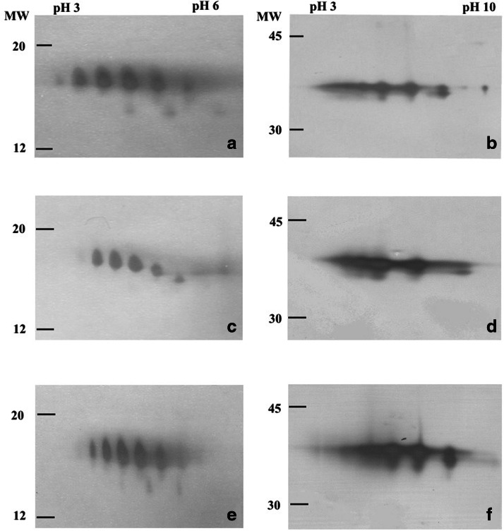 Fig. 6
