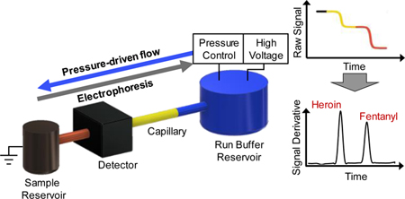 graphic file with name nihms-1572941-f0007.jpg