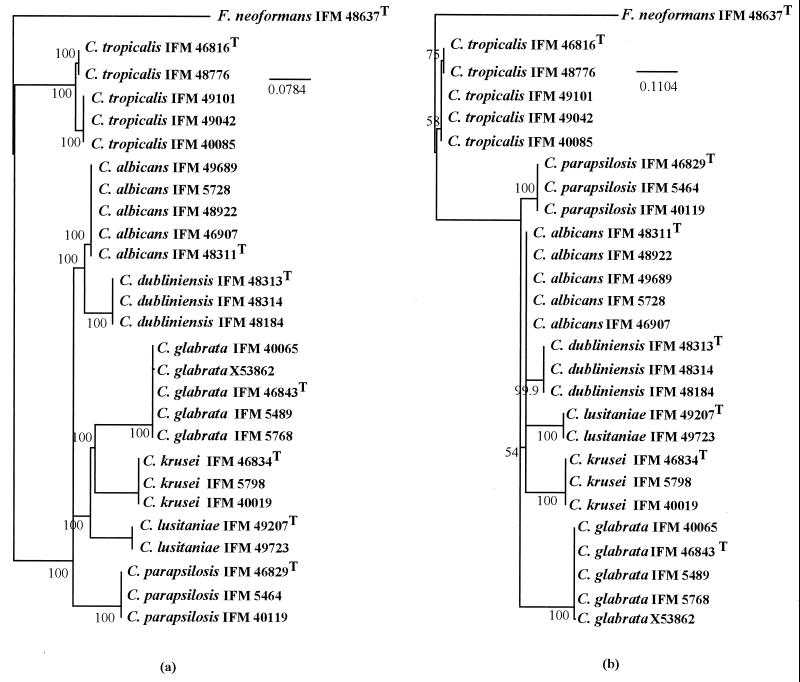 FIG. 4