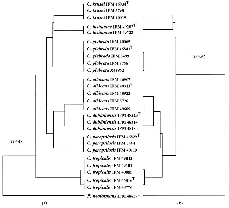 FIG. 3