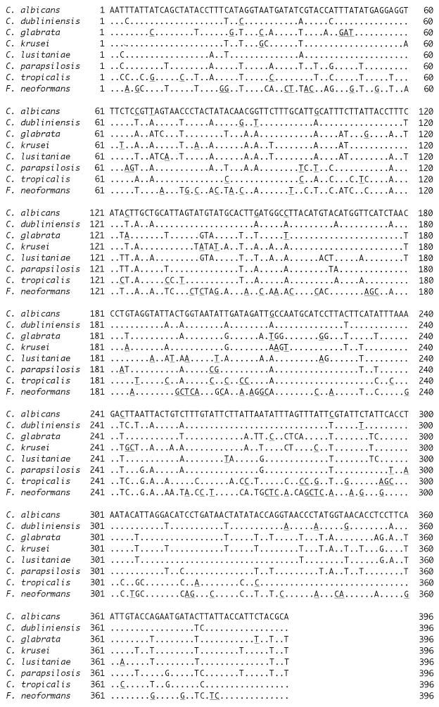 FIG. 1