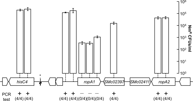 Fig 2