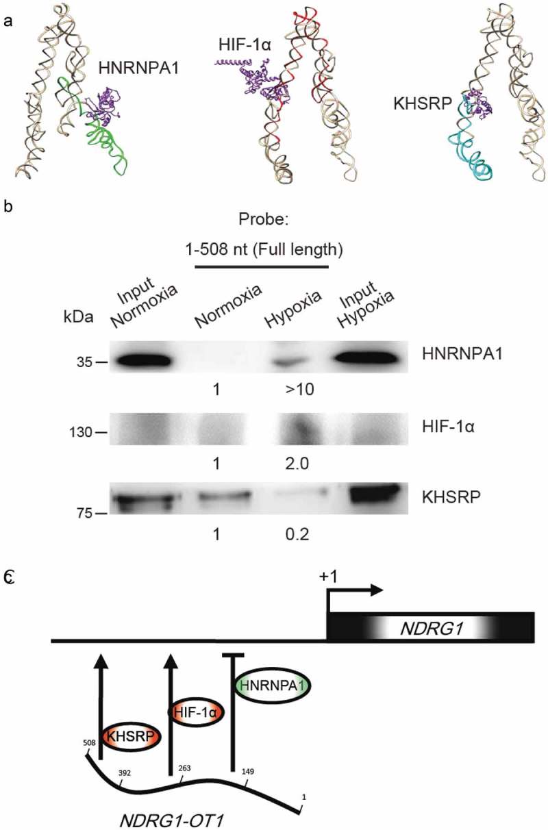 Figure 6.