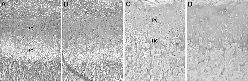 FIG. 6