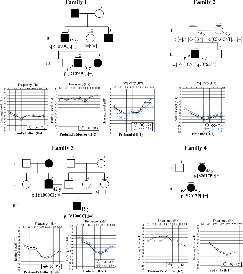 Fig. 4