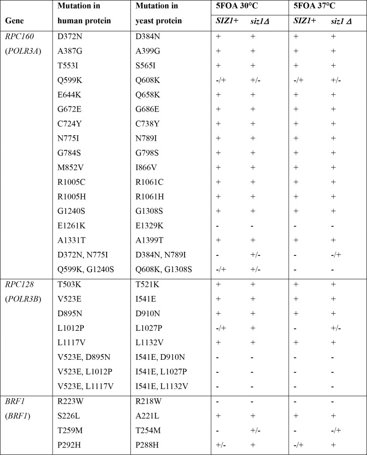 Figure 2—figure supplement 3.