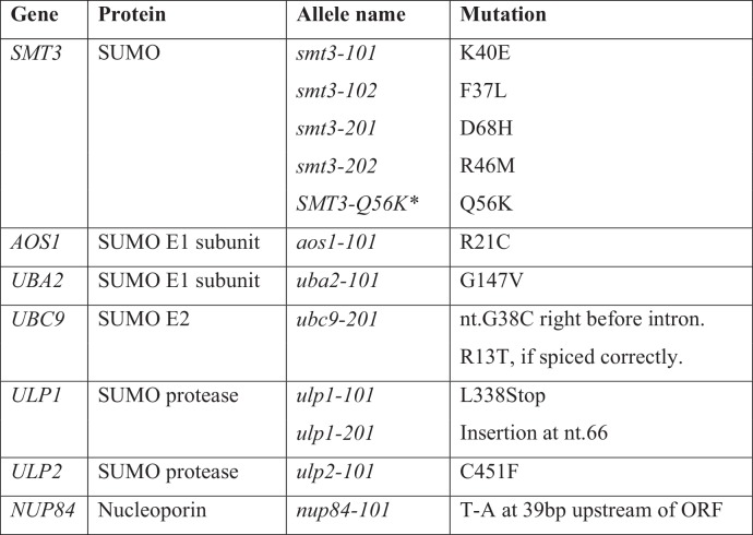 Figure 1—figure supplement 1.