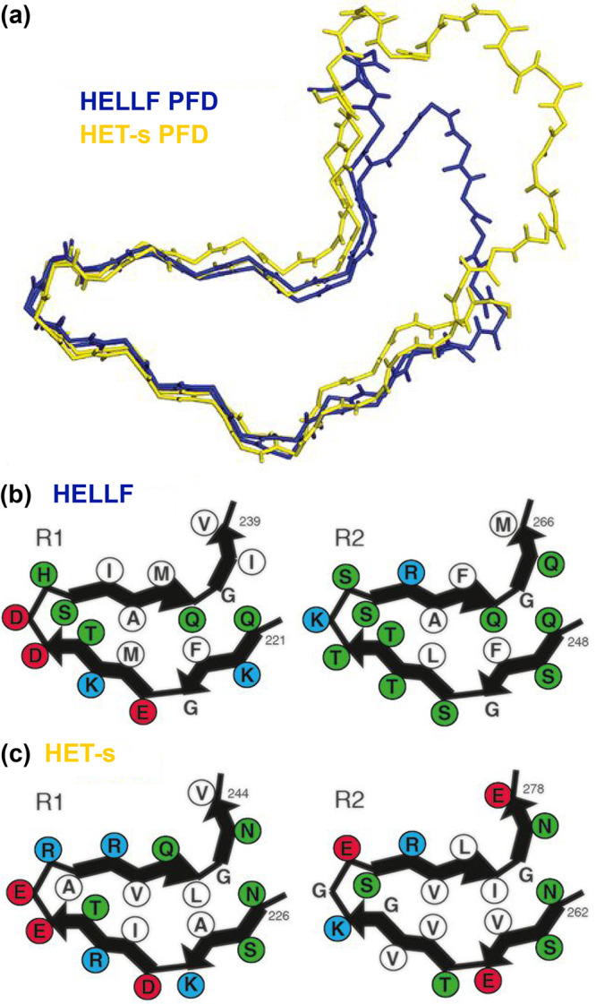 Figure 61