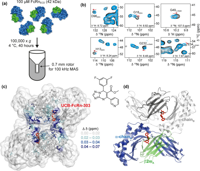 Figure 58