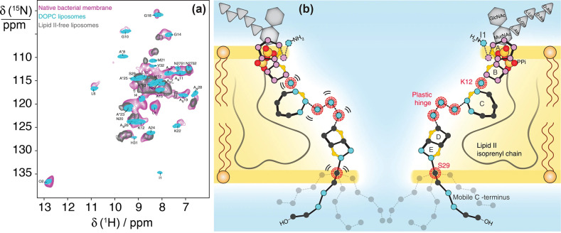 Figure 68