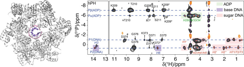 Figure 57