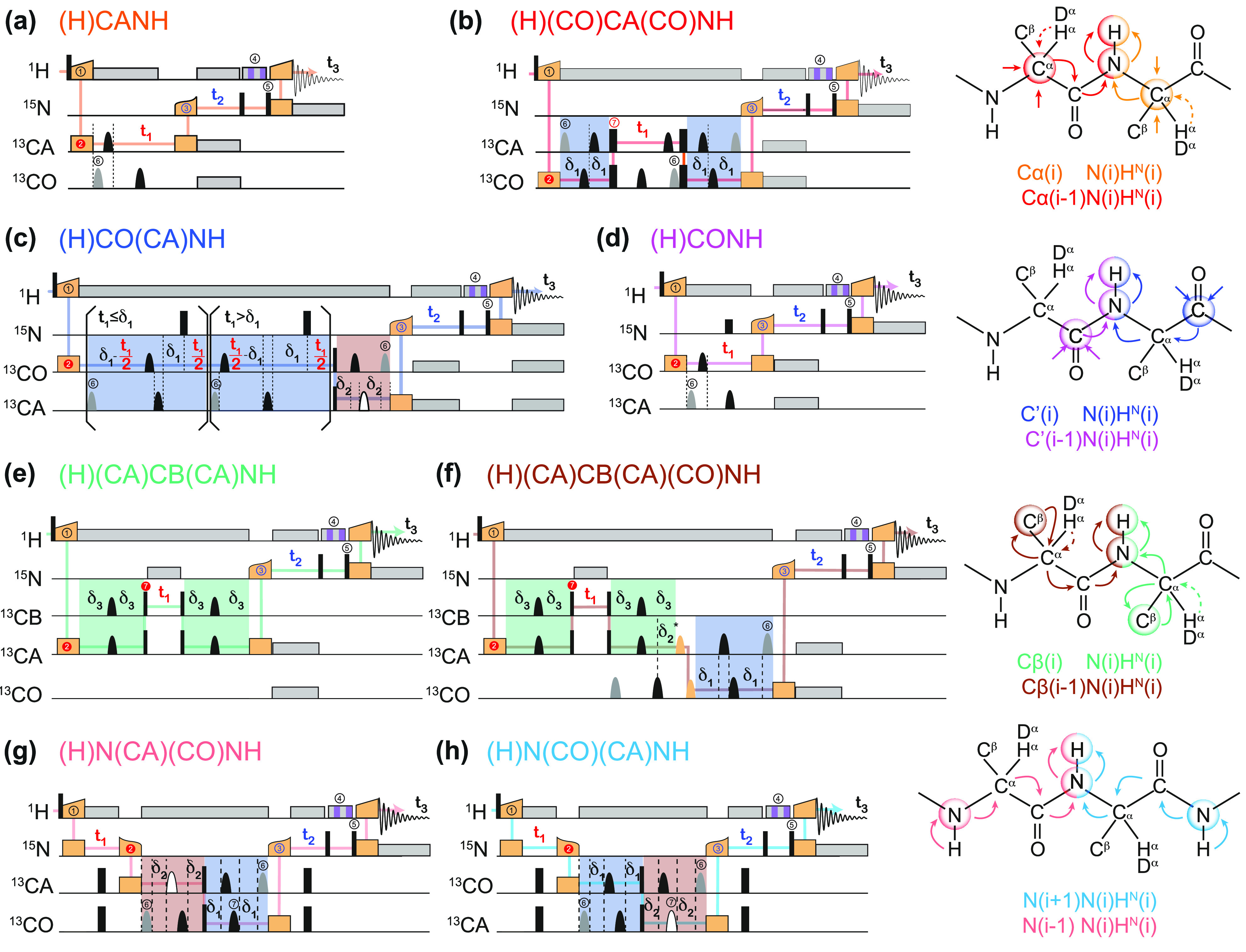 Figure 31