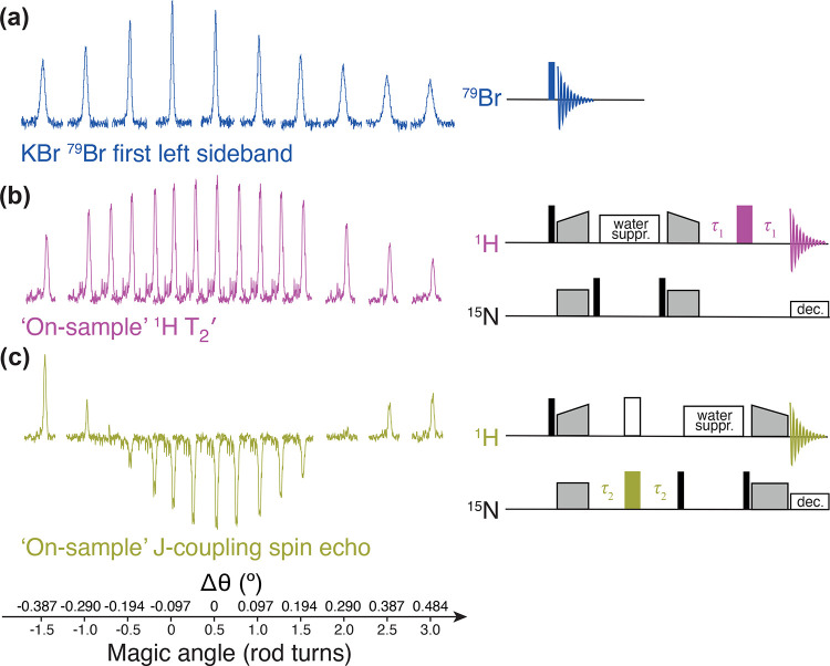 Figure 21