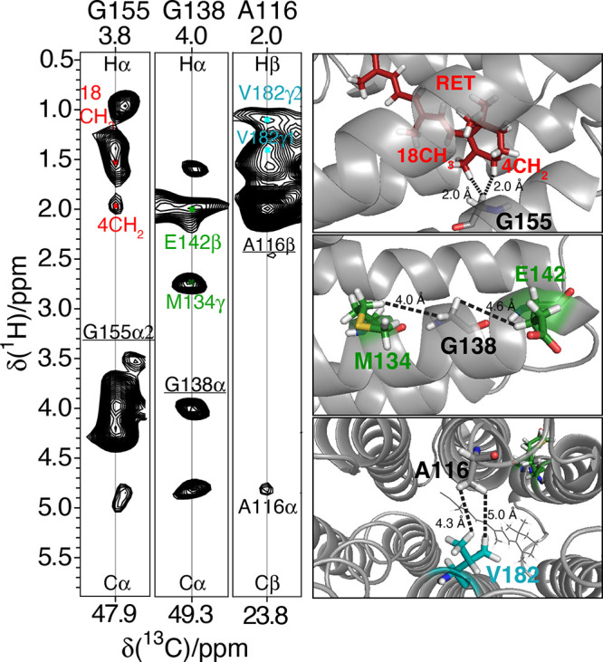 Figure 59