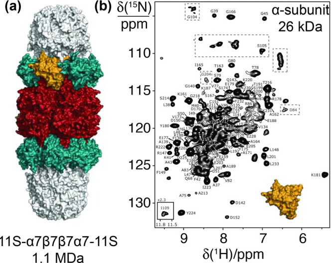 Figure 56