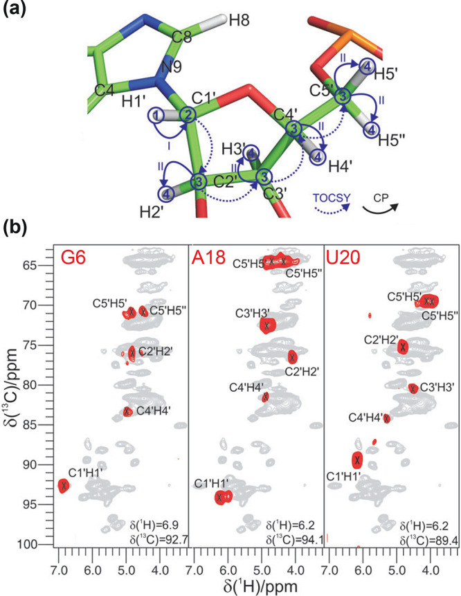 Figure 36