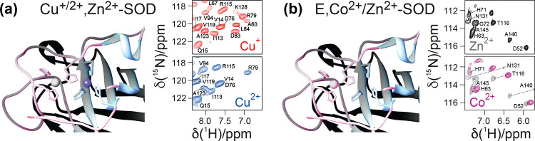 Figure 44